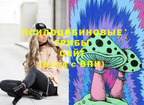 МДПВ Алзамай