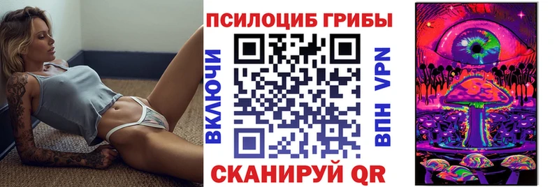 цены наркотик  кракен зеркало  Псилоцибиновые грибы MAGIC MUSHROOMS  Жирновск 